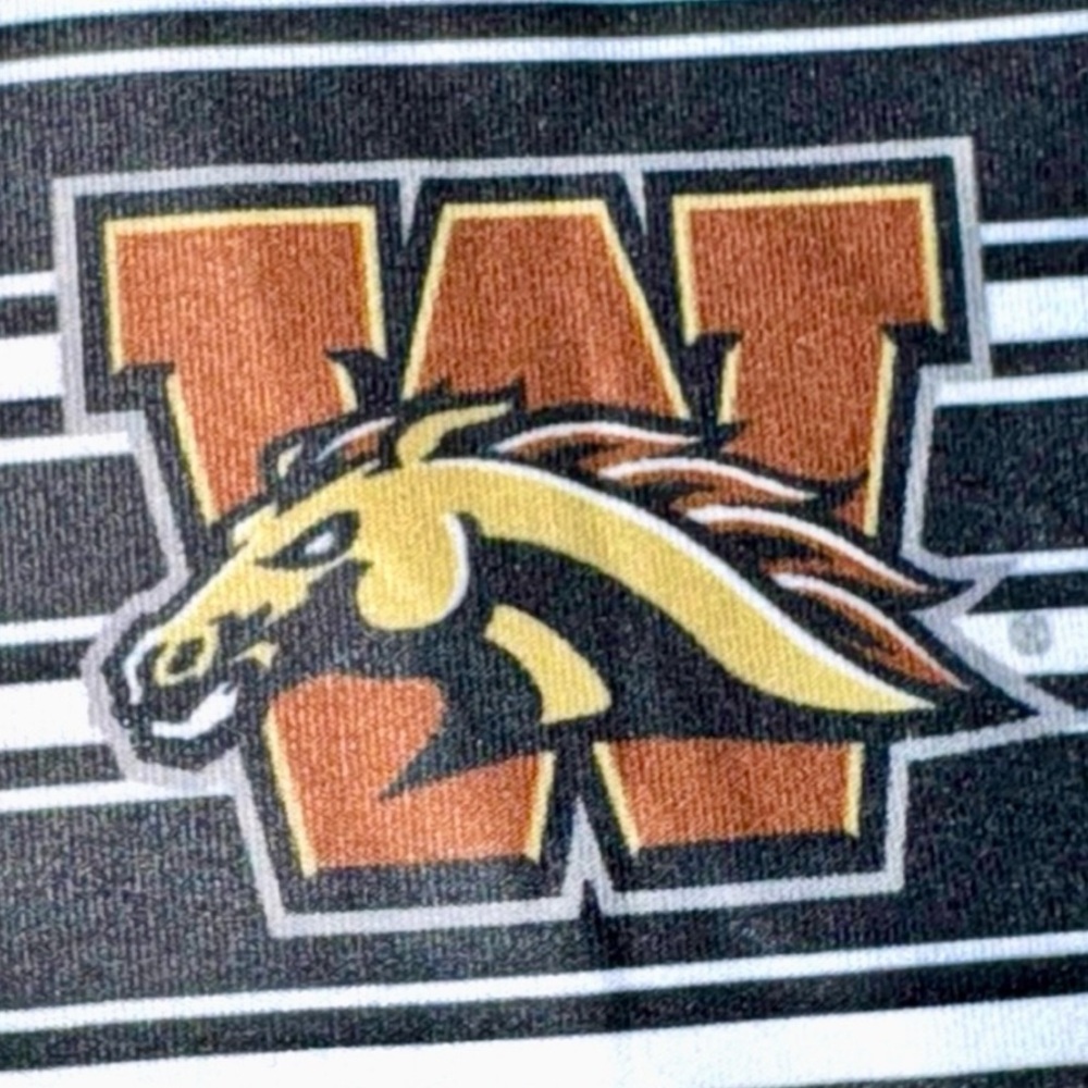 Western Michigan University Broncos Black & White Striped Mini Tank Dress NWOT - Picture 2 of 16